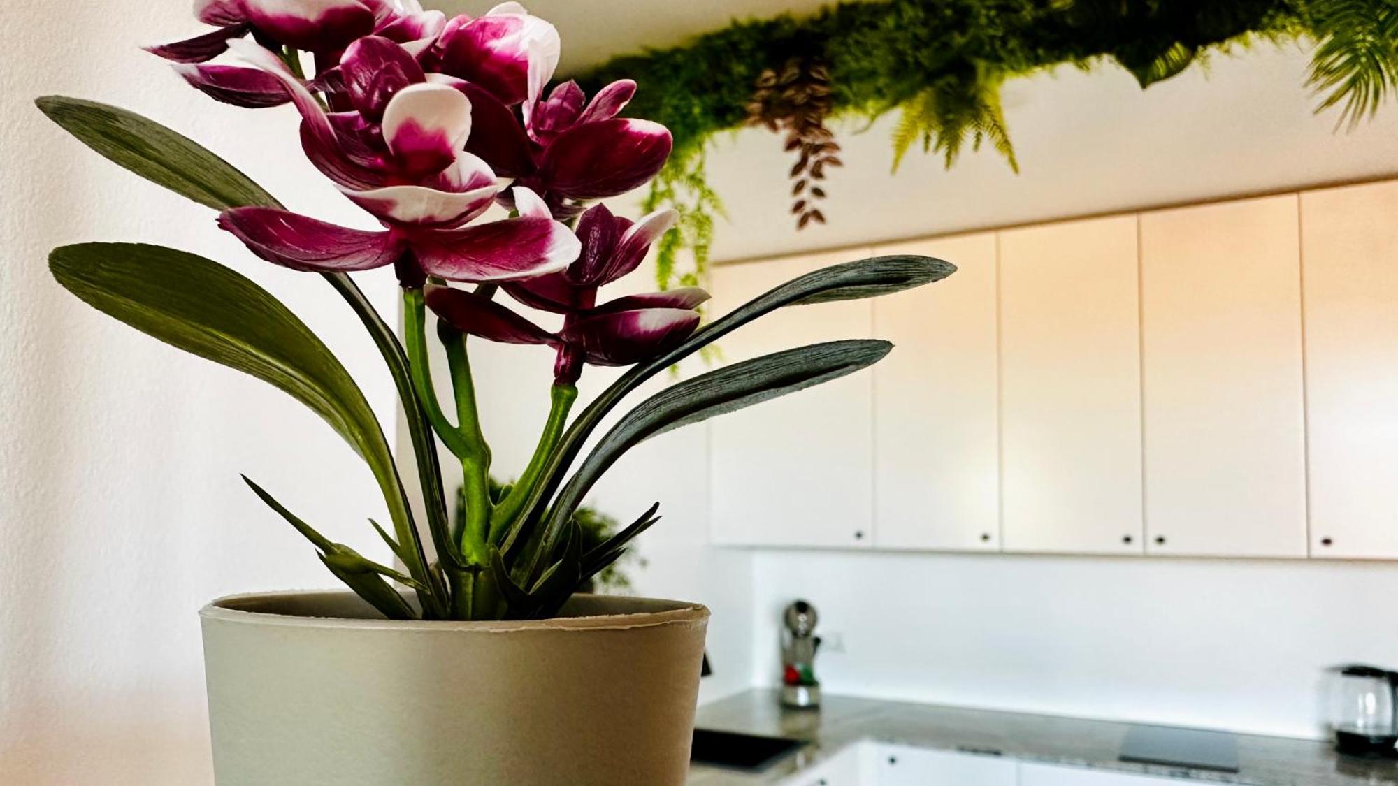 Garden Of Eden Modern Apartments - Apartello,Com Sweti Wlas Exterior foto